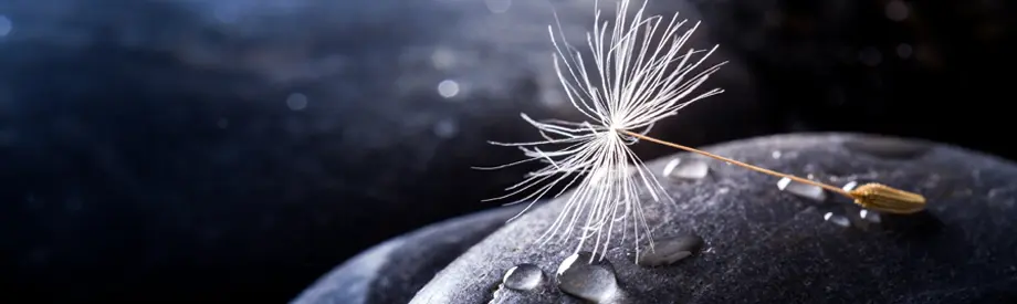 Landschaft mit Wasserfall – Symbol für die konstante Kraft nachhaltiger Energie